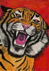 tigre - Grande